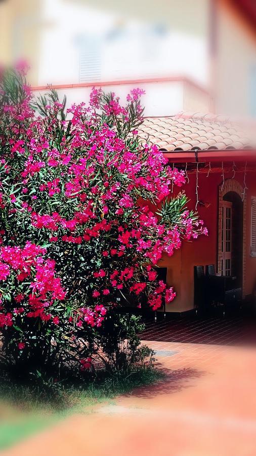 Country-House Pecora Nera Casa de hóspedes Mosciano SantʼAngelo Exterior foto